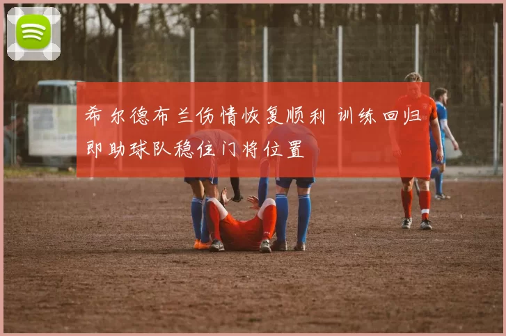 希尔德布兰伤情恢复顺利 训练回归即助球队稳住门将位置
