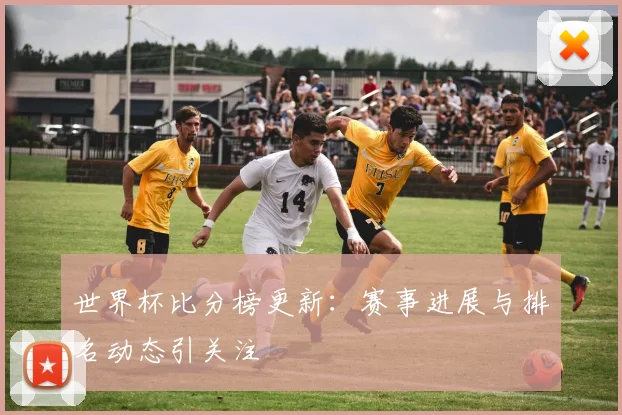 世界杯比分榜更新:赛事进展与排名动态引关注