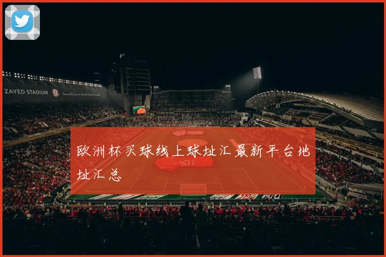 欧洲杯买球线上球址汇最新平台地址汇总