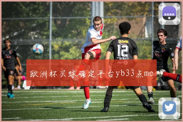 欧洲杯买球确定平台yb33点me